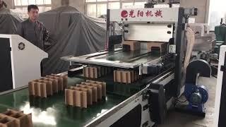 QH-PACK Automatic Partition Assembler machine for Brewery beverage factory