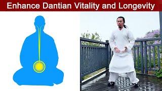 Tai Chi and Longevity: Discover the Fountain of Dantian Youth