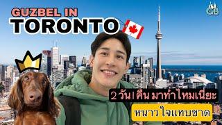 เที่ยวโตรอนโต้ (Toronto) ครั้งแรกกับน้องหมาสุดรัก กับแฟนใจดีพาเที่ยวฟรีทั้งทริป หนาวปากแข็ง 