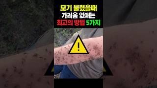 모기 물렸을때 가려움 없애는 최고의 방법 5가지 #건강 #건강정보