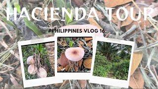 Vlog 16 Hacienda Tour in Tabuelan , Cebu City | Philippines