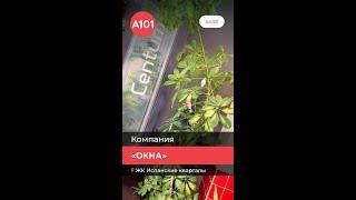 Окна в районах А101 | Рассказываем, где купить и как заказать к ним жалюзи и шторы