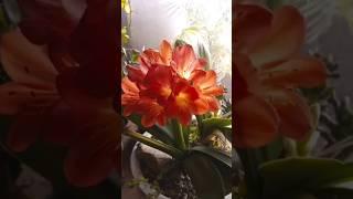 #grdwater #한일상사