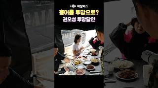 홍어를 투망으로 잡았다구? 선녀바위해수욕장 한국투망협회 번개출조, 선녀바위해변 권오성 투망달인, 홍어회, 삼합, 사시미, 홍탁 #castnet #fishing #playpesca