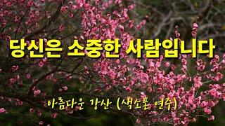 (좋은글) 당신은 소중한 사람입니다