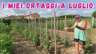 TOUR COMPLETO del mio ORTO a LUGLIO