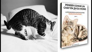 Penser Comme Un Chat En 2h Ou Moins Review 2018