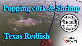 Galveston Bay Redfish using a Popping Cork and Live Shrimp