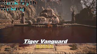 Black Myth Wukong : Battle with Tiger Vanguard