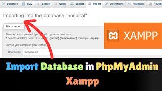 How to Import a MySQL Database to phpMyAdmin Xampp