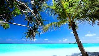 Tropical Lagoon with Beach, Wave and Seabird Sounds for Relaxation and Meditation  | 10 Hours