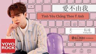 [Vietsub/Pinyin] Tình Yêu Chẳng Theo Ý Anh - Vu Trường Tịnh | OST Cá Mực Hầm Mật|親愛的熱愛的|Go Go Squid