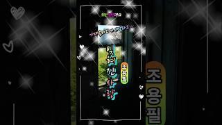 잊혀진사랑 조용필