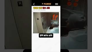 댕댕이 집사 필수 시청