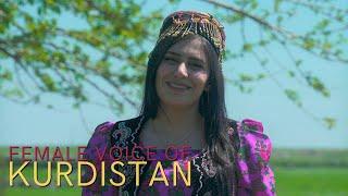 Sîdar Ibrahim • Portrait • Female Voice of Kurdistan