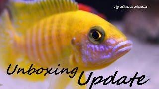African Cichlid Unboxing Update