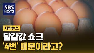 달걀값 쇼크, '4번' 때문이라고? (자막뉴스) / SBS