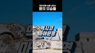 세계 역사 속 뱀의 모습은? (풀영상 있음)