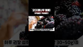 오디 부작용(주의사항), 적당량은?