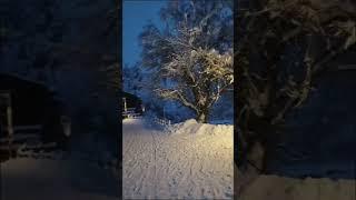 Walking through Shirakawa-go on a snowy night feels like stepping into a winter fairy tale 22/12