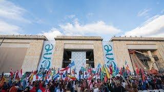 #OYW2017 Highlights