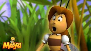 Willy Wants to Make Music - Maya the Bee - FULL COMPILATION