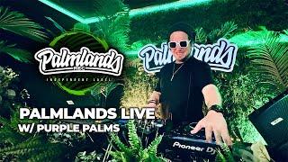 Purple Palms - Tech House on PALMLANDS