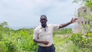 Seaview Land for sale on the North Coast of Jamaica