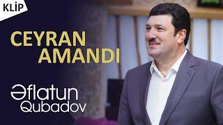 Eflatun Qubadov - Ceyran Amandi (Official Klip)