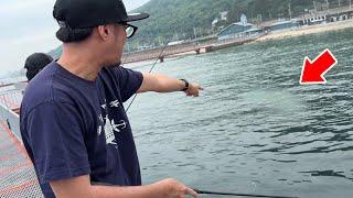 【神回】夏の須磨に異変‥巨大アオリイカが大量発生中。大雨の中、衝撃のラストが待ち受けていました。エギングの聖地で奇跡が！