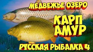 русская рыбалка 4 - Карп Амур Медвежье озеро - рр4 фарм Алексей Майоров russian fishing 4