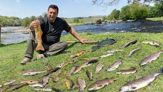 My Favorite Dishes Are Made From The Freshest Trout! Life In A Faraway Village