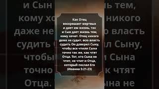 Иоанна 5:21-23 #Библия #Евангелие #СтихДня