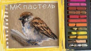 Как нарисовать воробушка сухой пастелью на крафт бумаге Soft Pastels mungyo