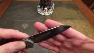 Chris Reeve Sebenza 21 Insingo:  Ugly? Functional? Awesome?  You Decide...