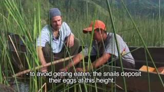 Fishing Tour at the Lake Atitlan