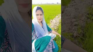 chandani Kumari #chandani kumari official 803