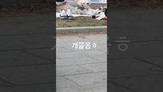 곧 볼 수 있는 한강 풍경