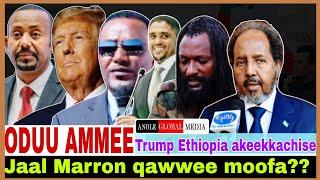 Jaal Marroon qawwee moofan?//Deebisa Marro//Trump Ethiopia akeekkachise//12/1/2024 AGM