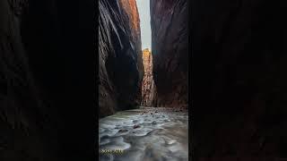 Some of my favorite images from the Narrows at Zion National Park in Utah!