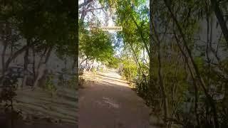 beautiful view of Islamabad #feelings #flowers #islamabad #shorts #viralvideo #shortvideo #trending