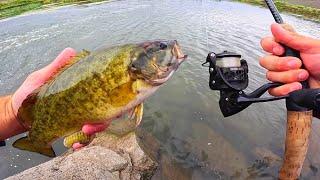 SMALLMOUTH BASS CATCH, CLEAN, COOK!!