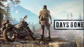 Days Gone первый взгляд на pc