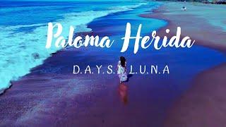 Paloma Herida(Video Oficial) #Daysi Luna #PalomaHerida