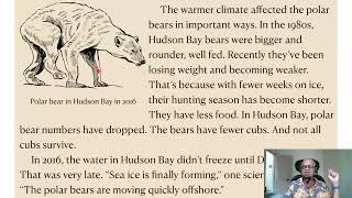 10.0.2 - Kids, Polar Bears are Eyewitnesses to Climate Change