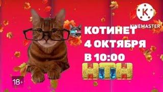 Котинет - новый сезон