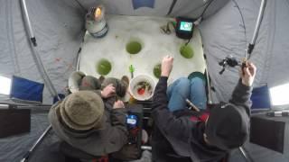 Ice Fishing Yellow Perch Lake Eckleson - Lost the bet vs Dad