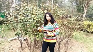 "Meine Tere Liye" Cover by Smt.Sujata Tripathy.
