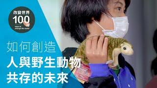 野灣野生動物保育協會｜如何創造人與野生動物共存的未來？