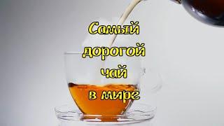 Самый дорогой Чай в мире